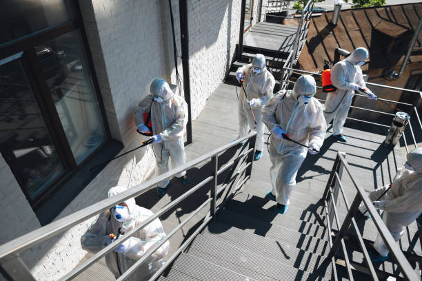 Best Mold Damage Restoration  in Story City, IA