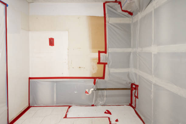 Best Indoor Air Quality Assessment  in Story City, IA
