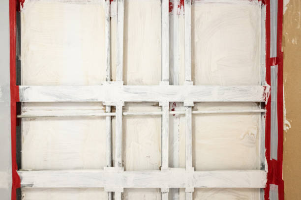Best Mold Prevention Services  in Story City, IA