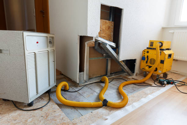Best Mold Prevention Services  in Story City, IA